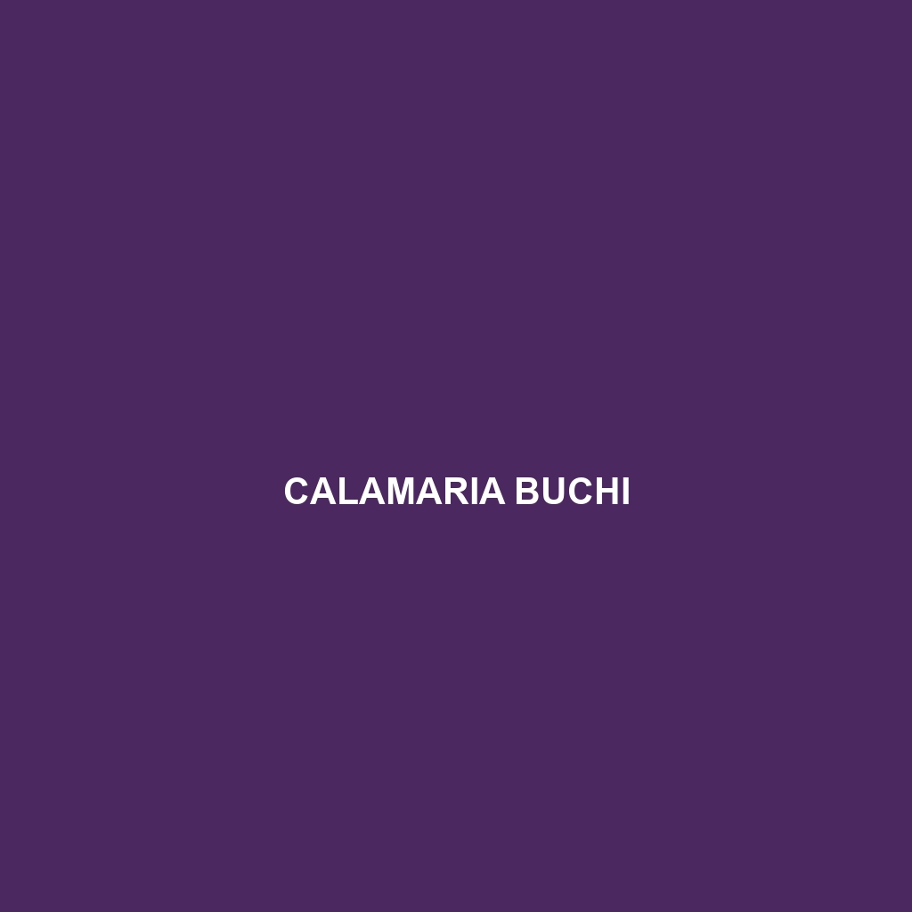 Calamaria buchi