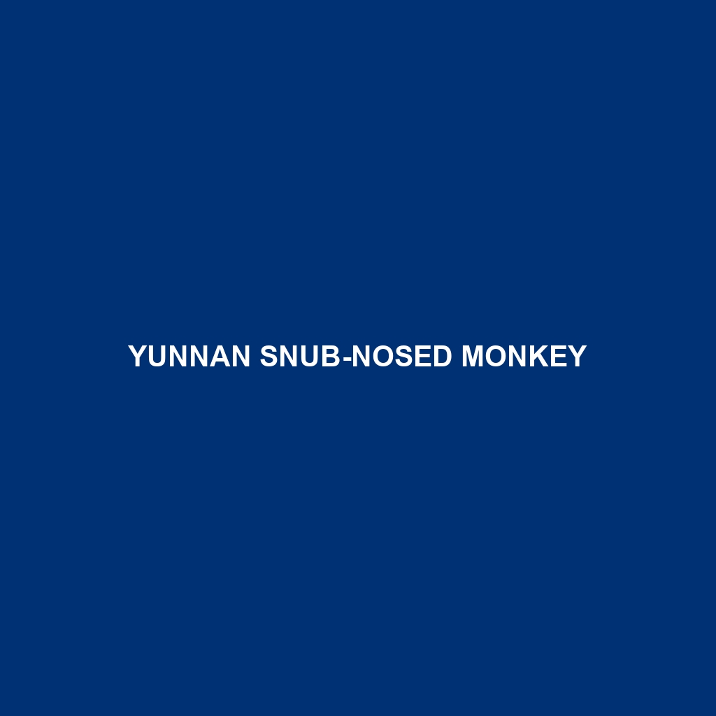 Yunnan Snub-nosed Monkey