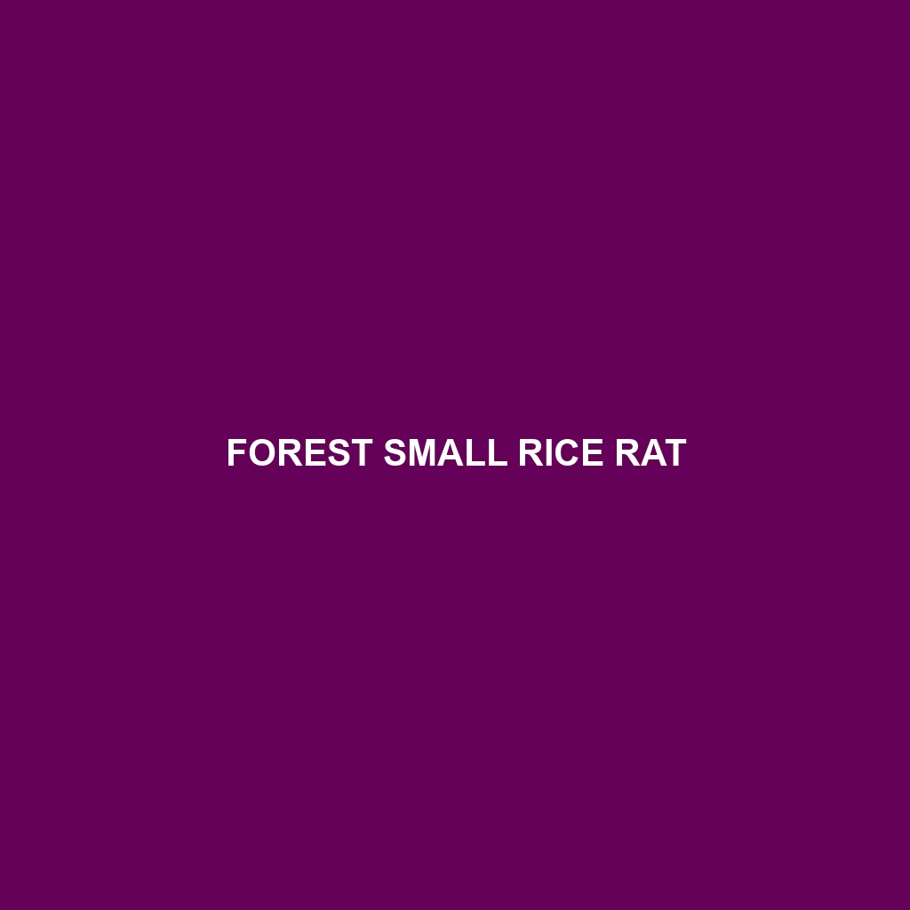 Forest Small Rice Rat