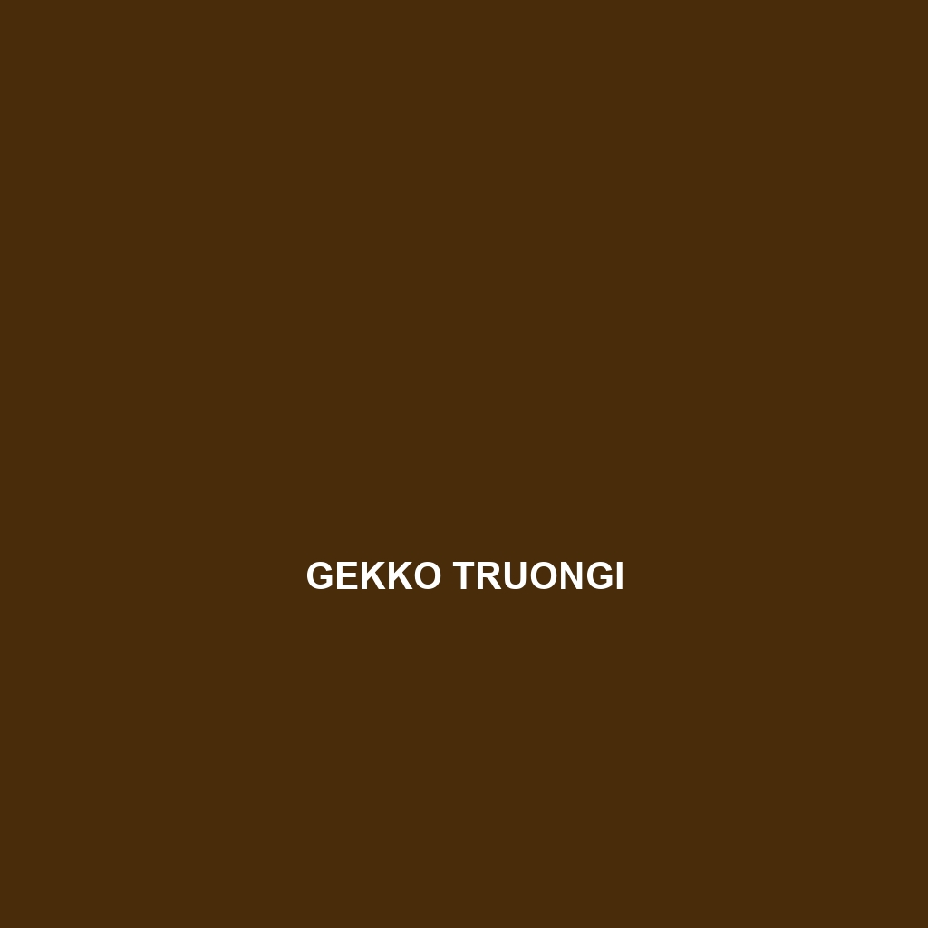 Gekko truongi