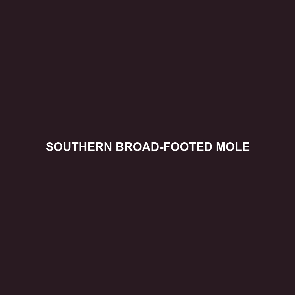 Southern Broad-footed Mole