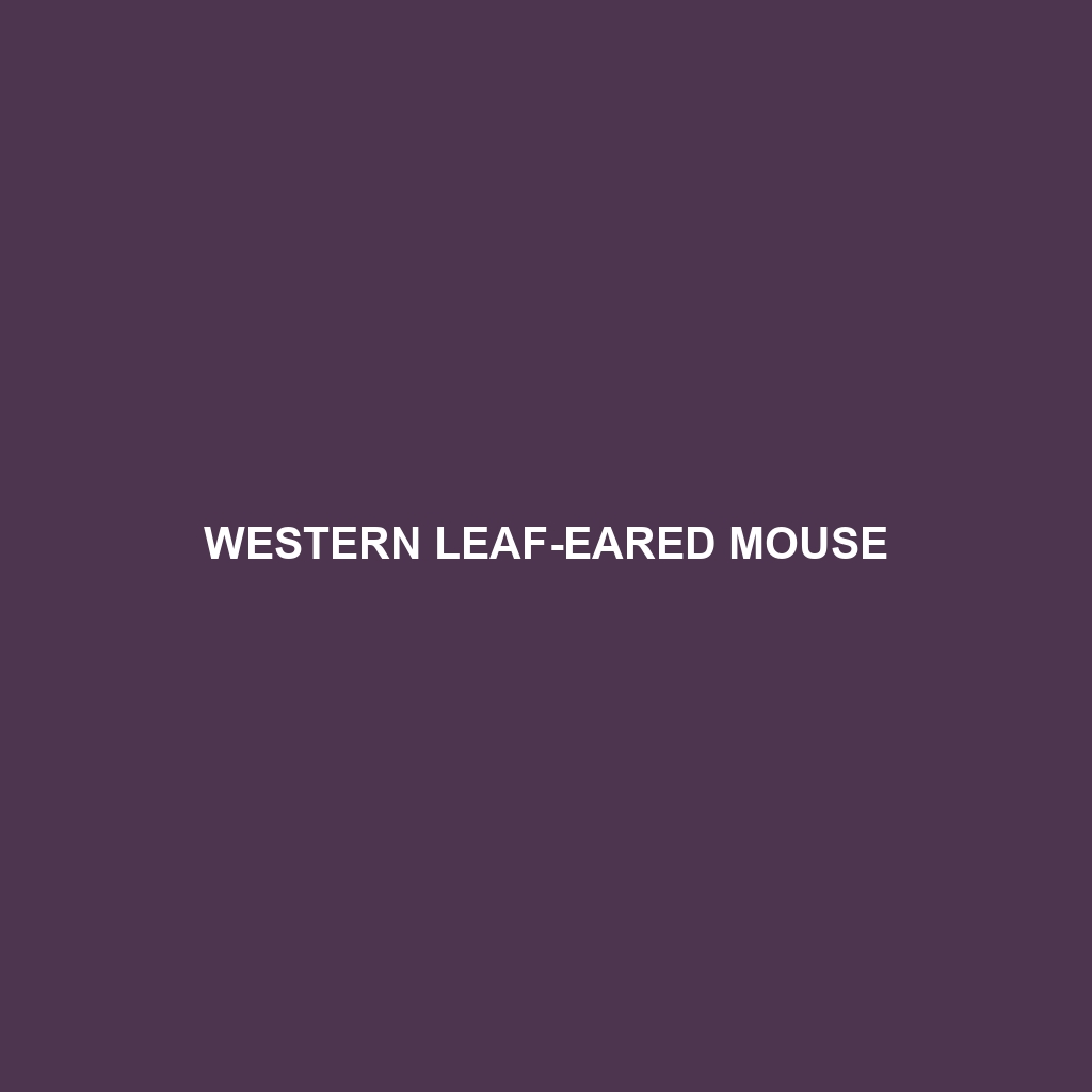 Western Leaf-eared Mouse