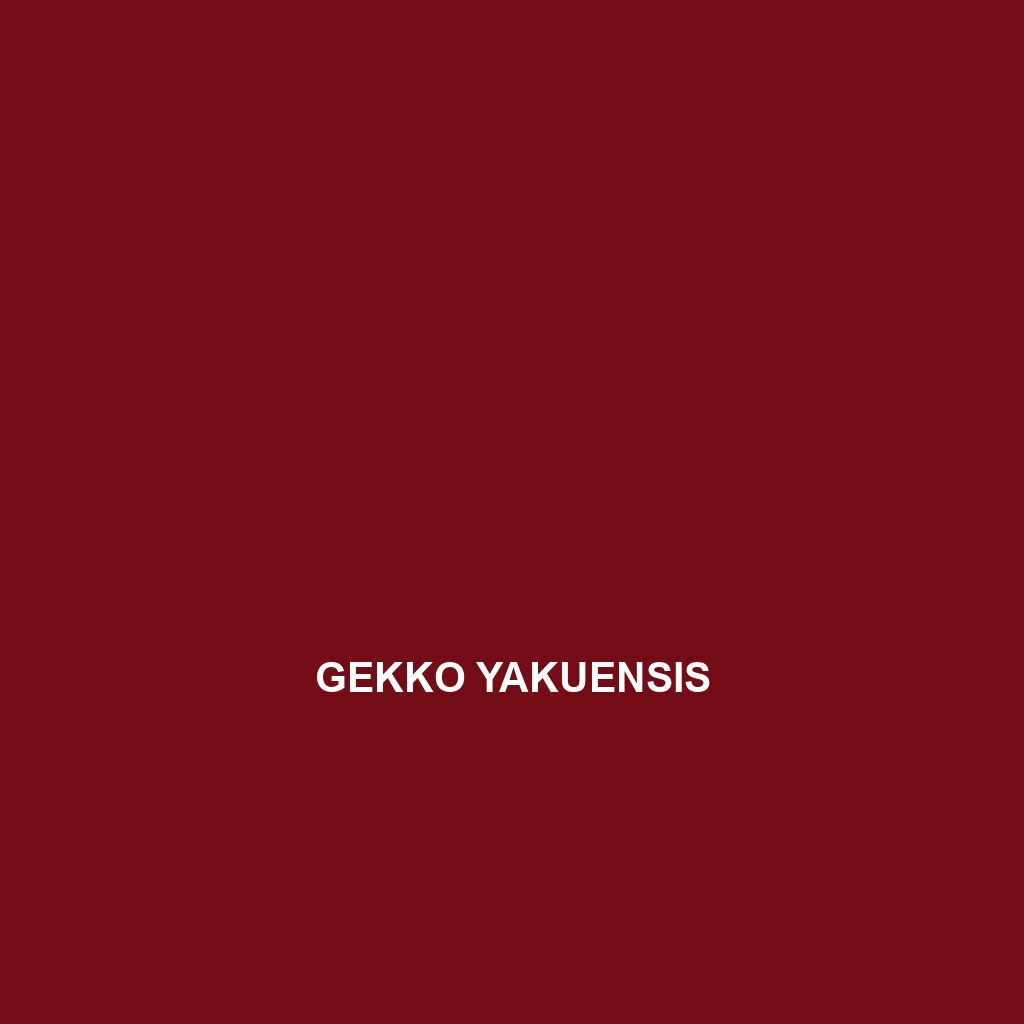 Gekko yakuensis