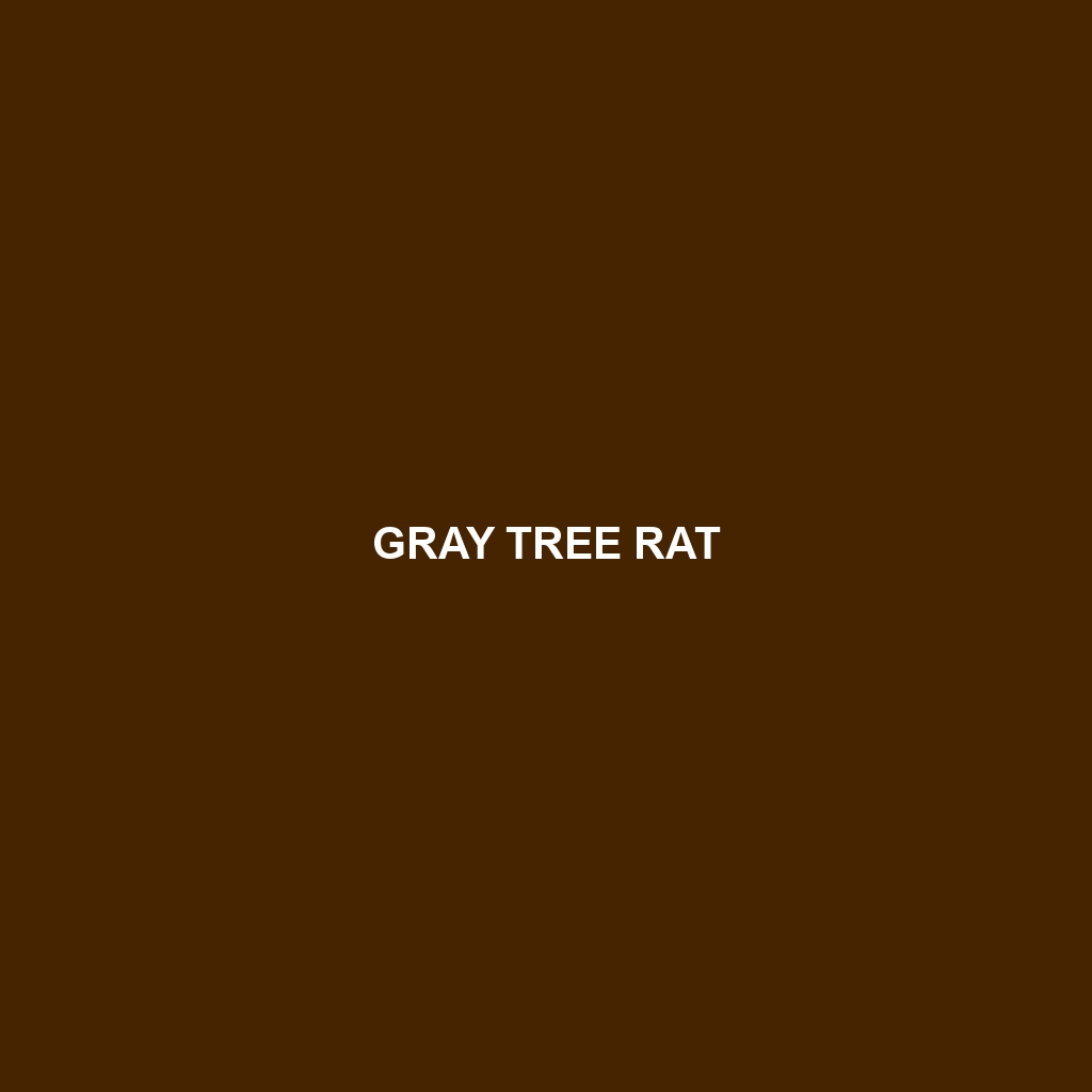 Gray Tree Rat