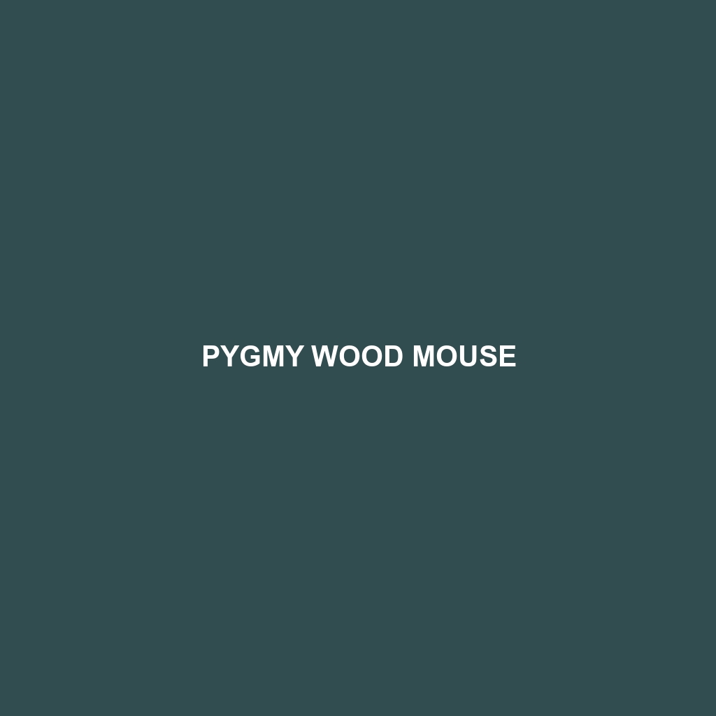 Pygmy Wood Mouse