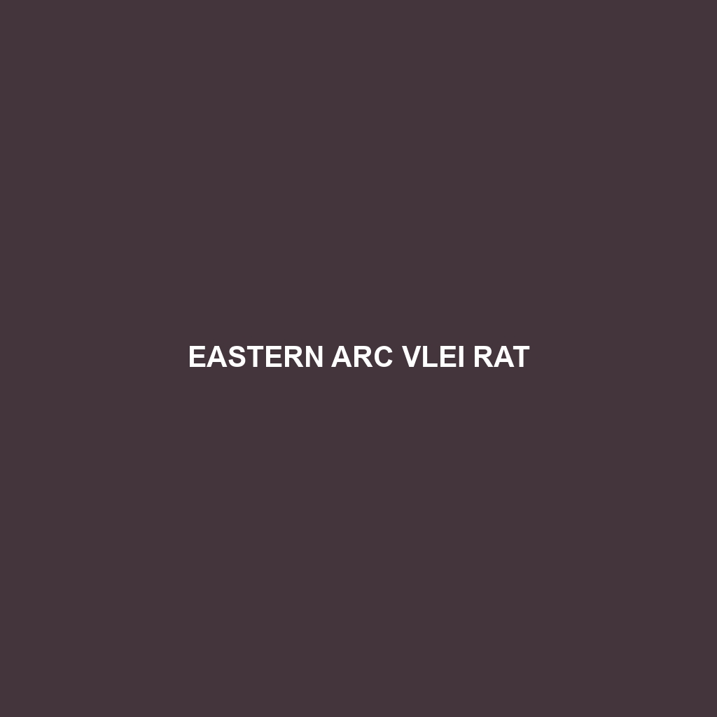 Eastern Arc Vlei Rat