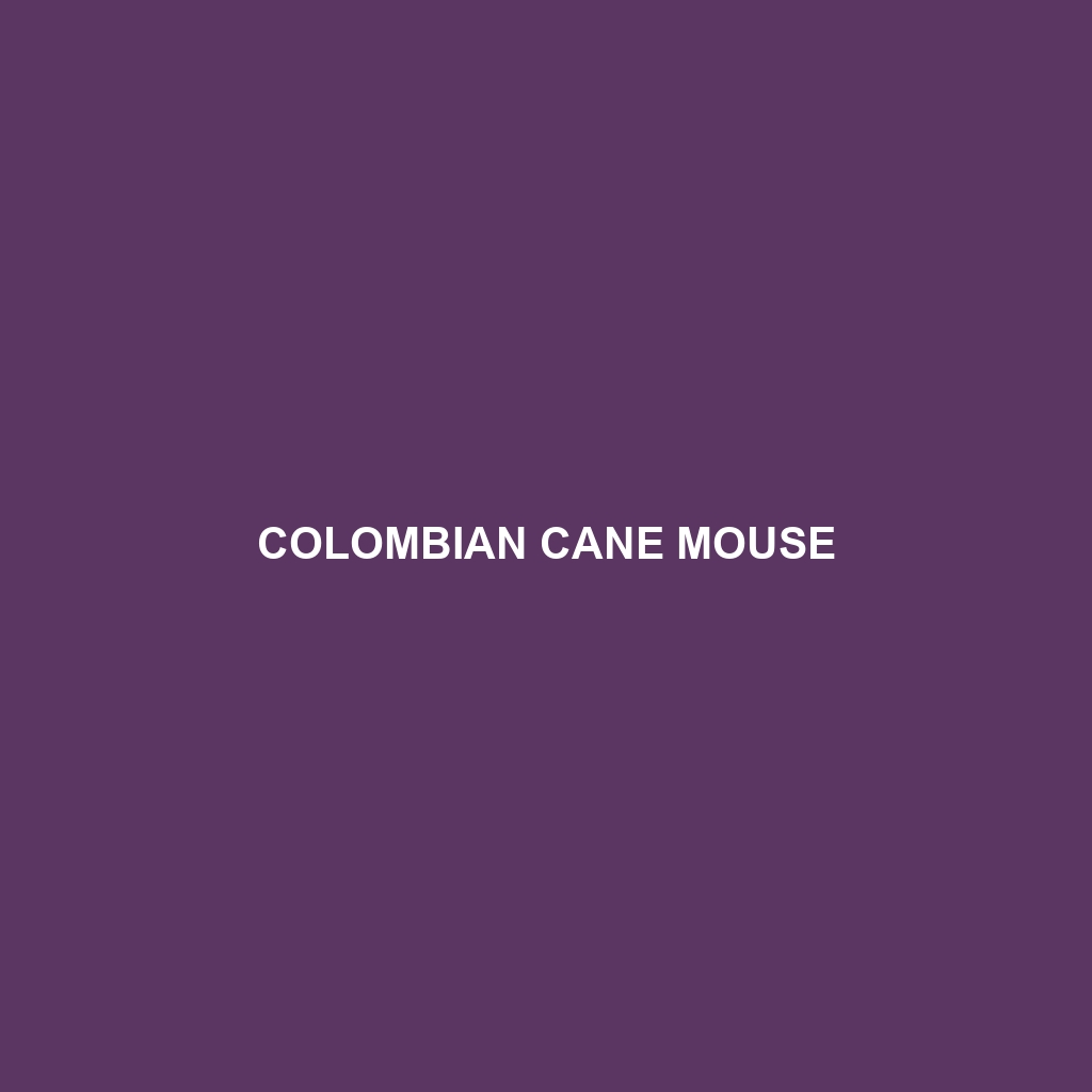 Colombian Cane Mouse