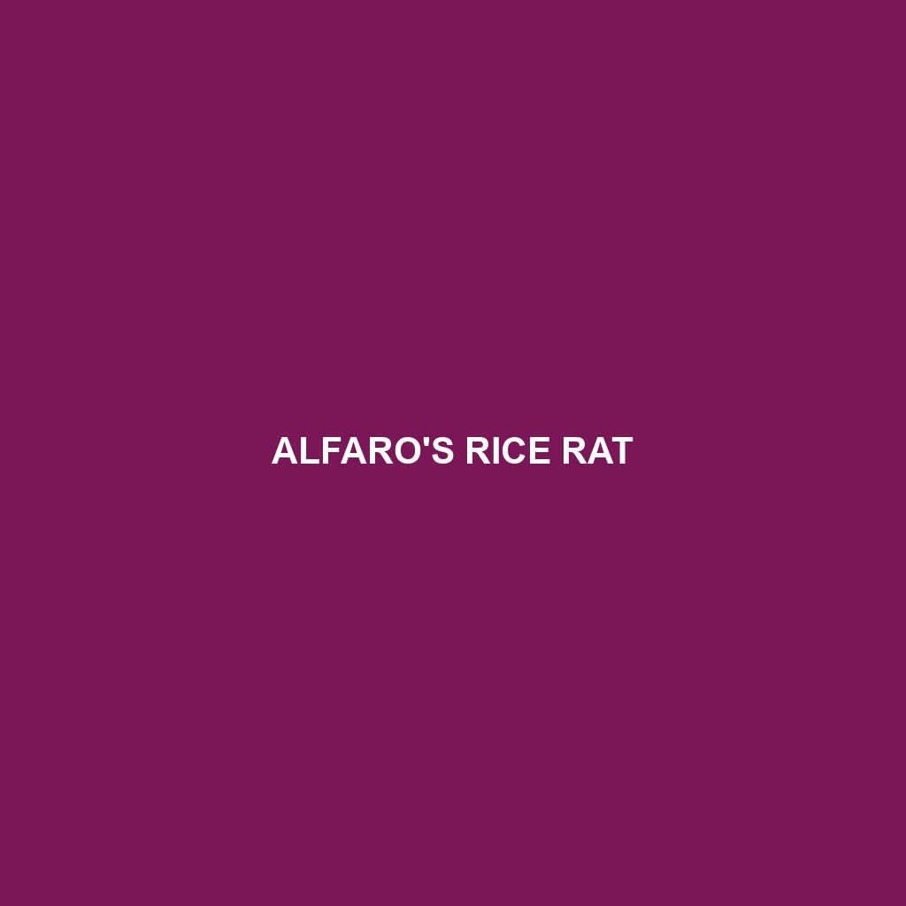 Alfaro's Rice Rat