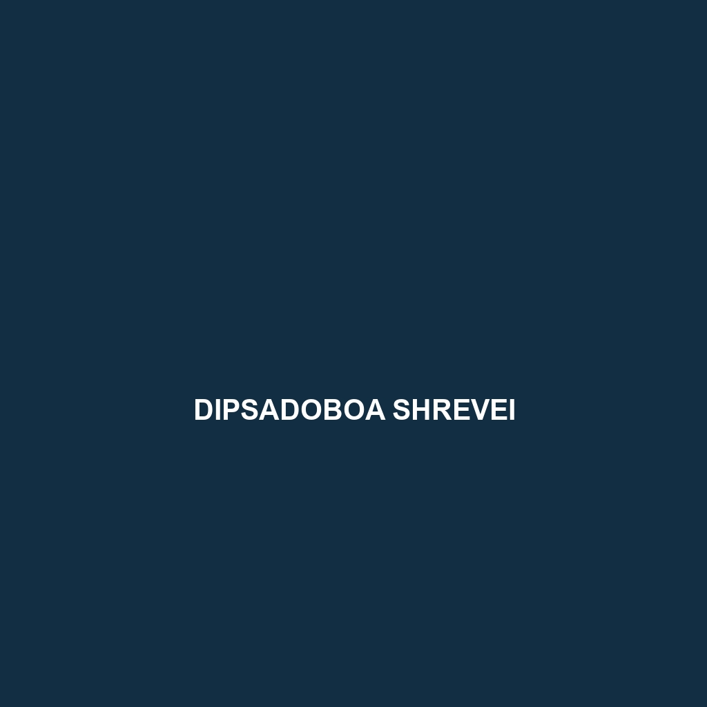 Dipsadoboa shrevei