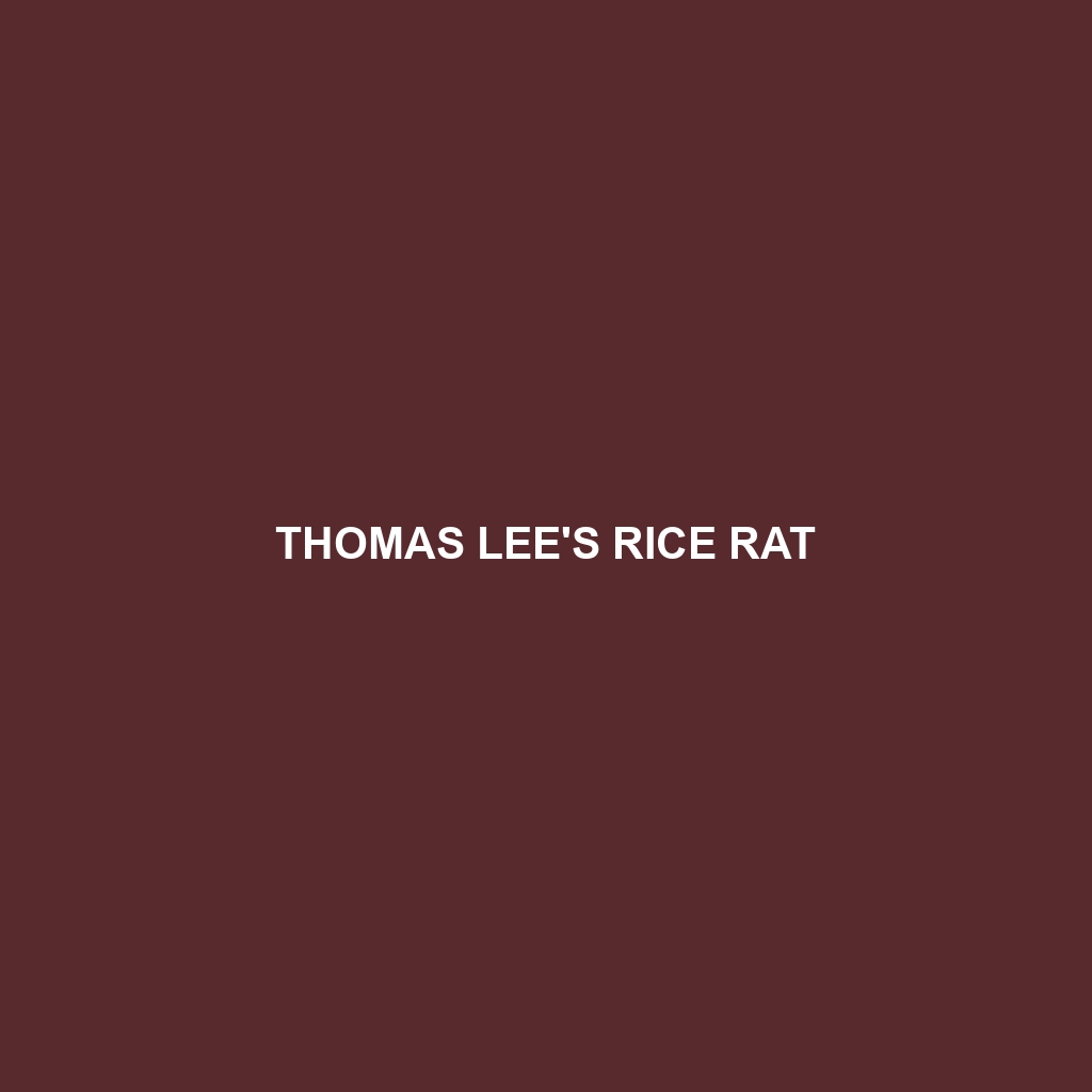 Thomas Lee's Rice Rat