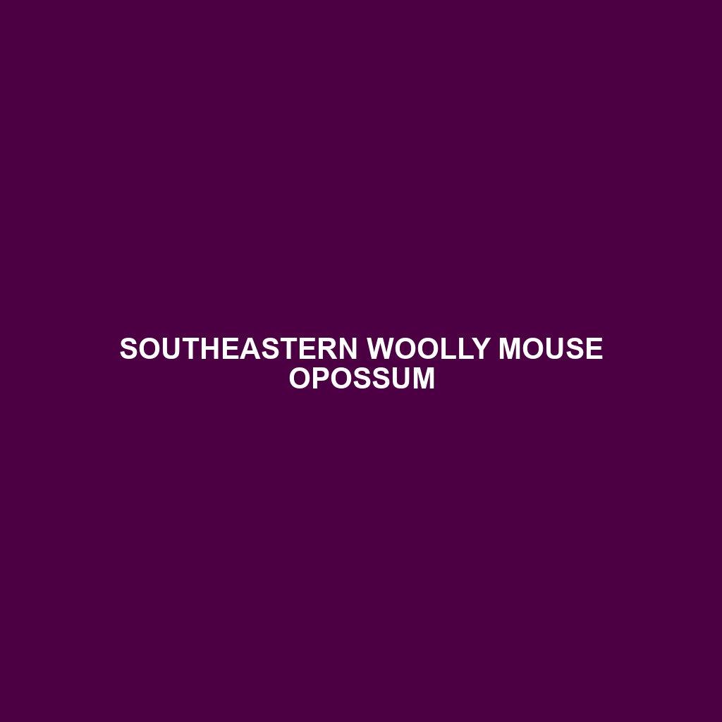 Southeastern Woolly Mouse Opossum