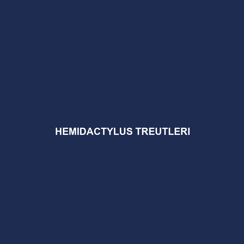 Hemidactylus treutleri