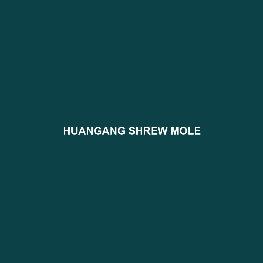 Huangang Shrew Mole