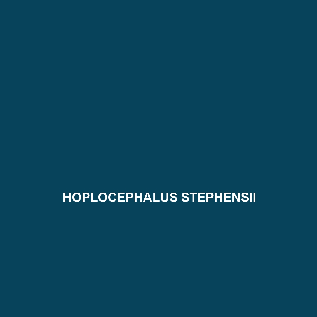 Hoplocephalus stephensii