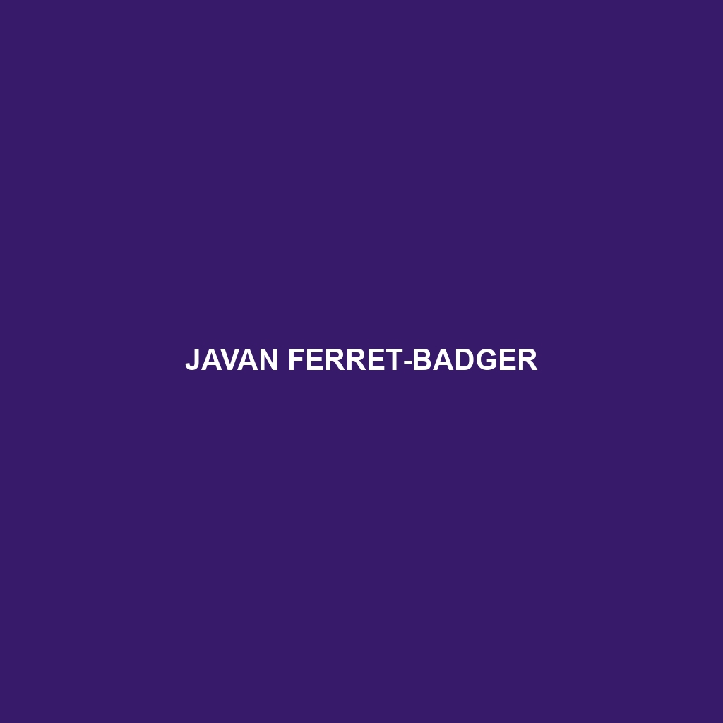 Javan Ferret-badger