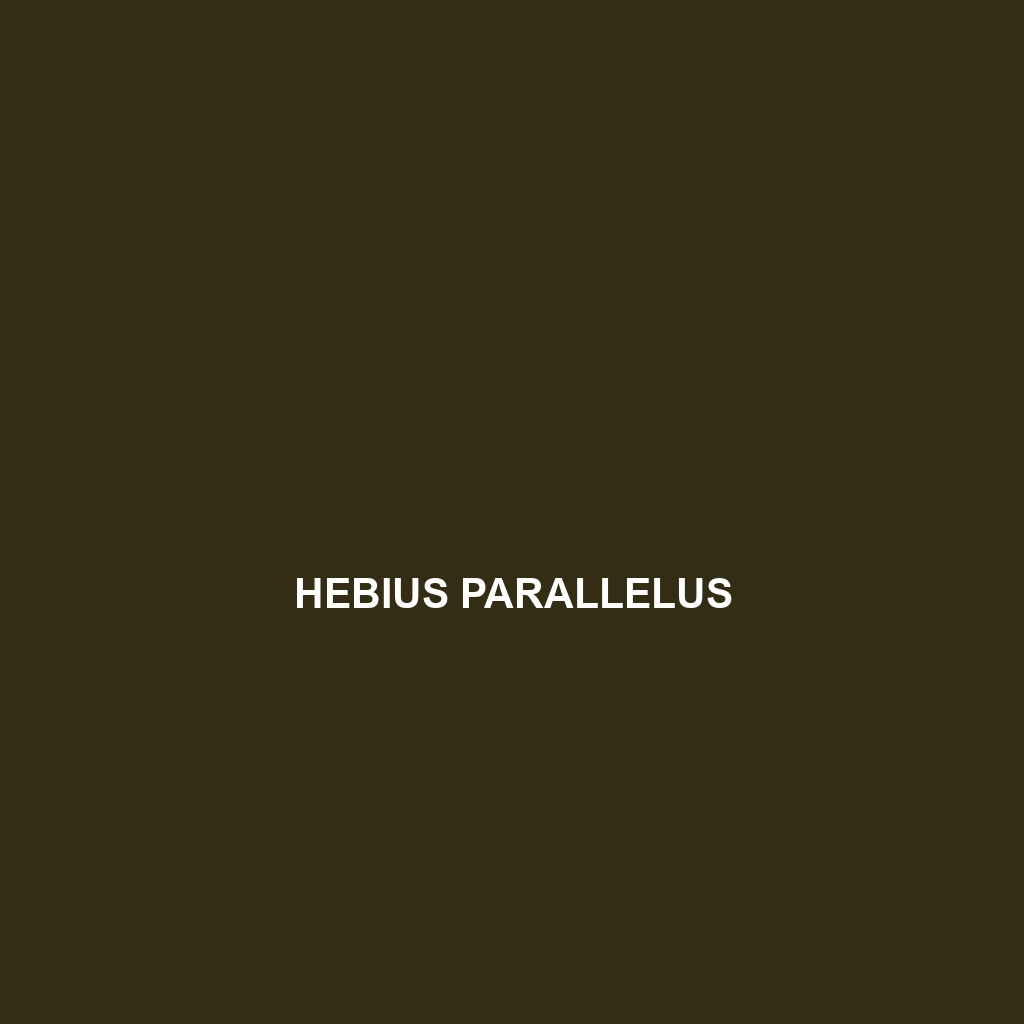 Hebius parallelus