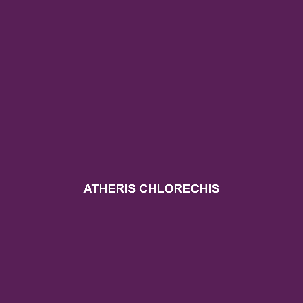 Atheris chlorechis