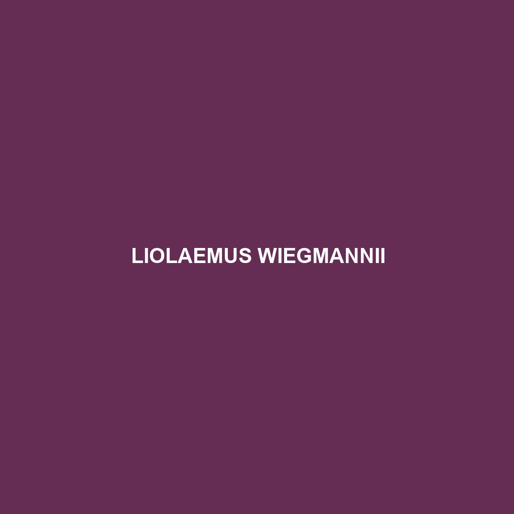 Liolaemus wiegmannii