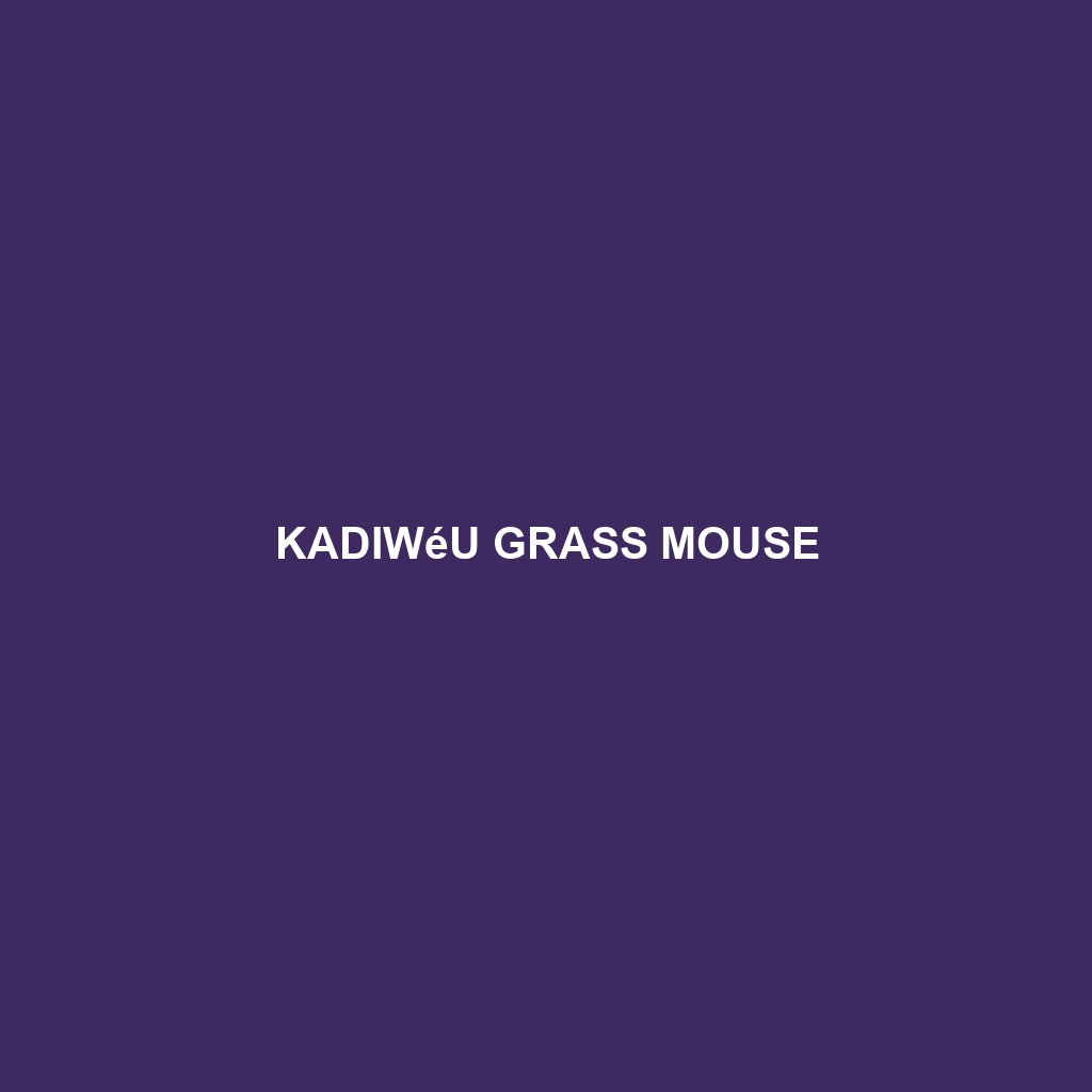 Kadiwéu Grass Mouse