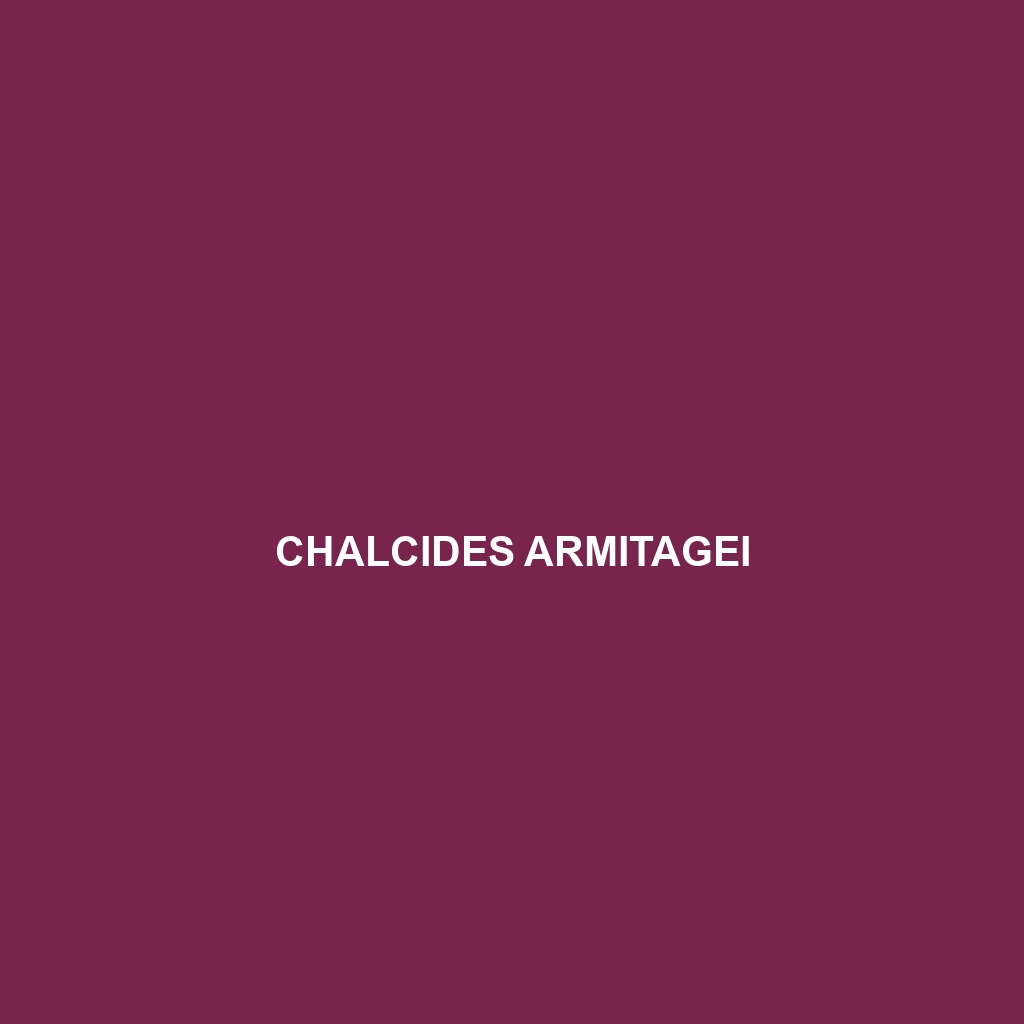 Chalcides armitagei