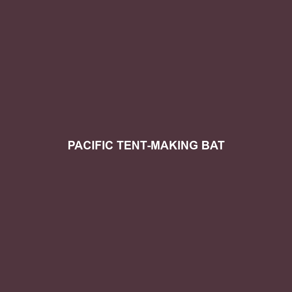 Pacific Tent-making Bat