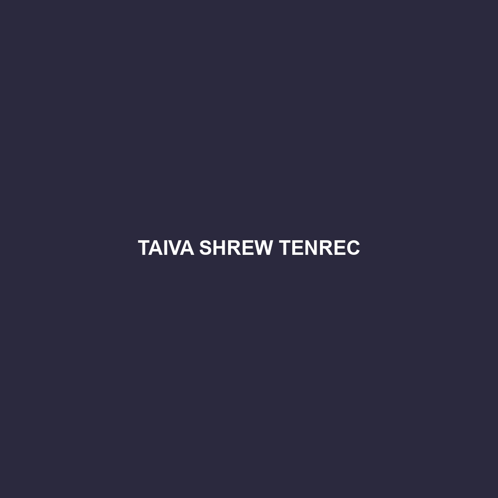 Taiva Shrew Tenrec