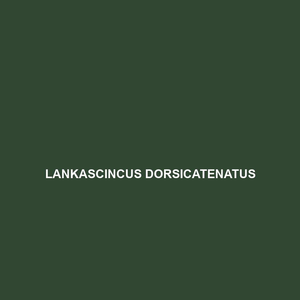 Lankascincus deignani