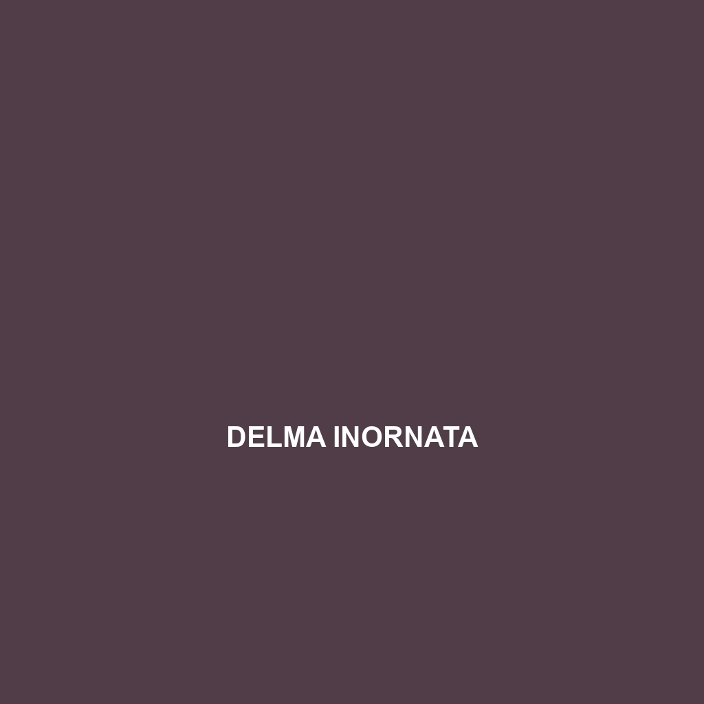 Delma inornata