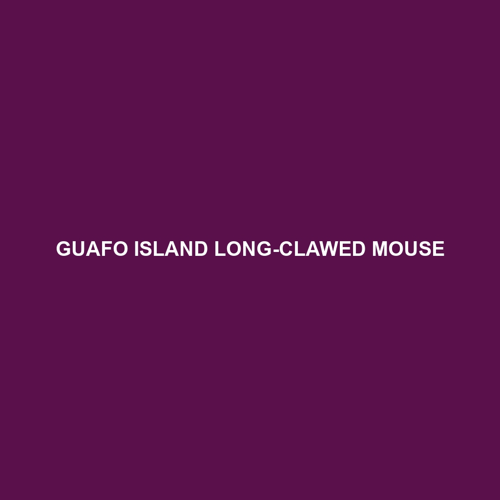 Guafo Island Long-clawed Mouse