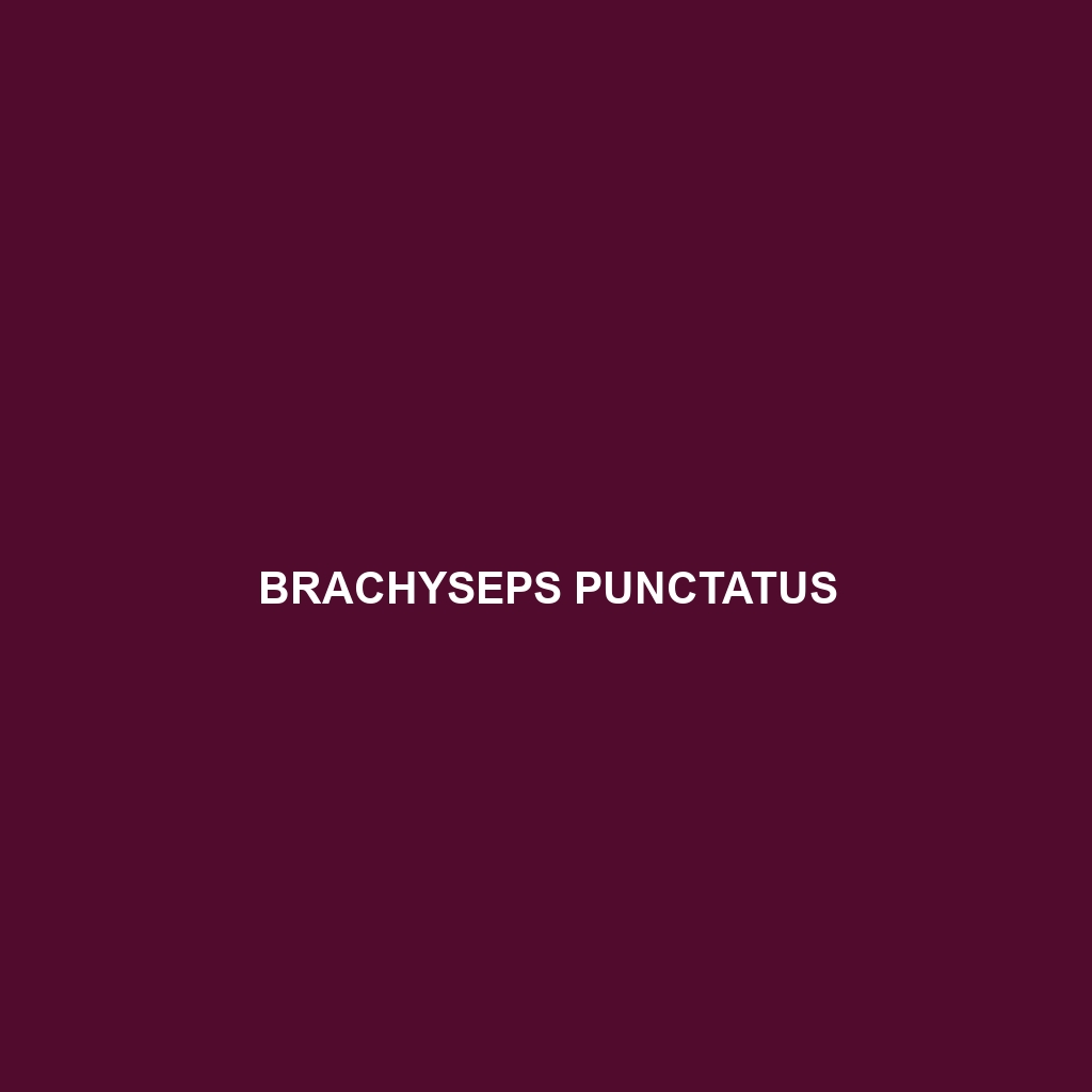 Brachyseps mandady