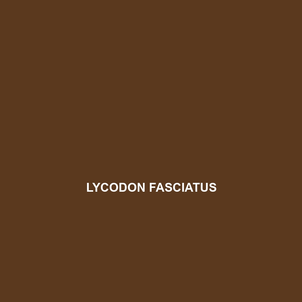 Lycodon fasciatus