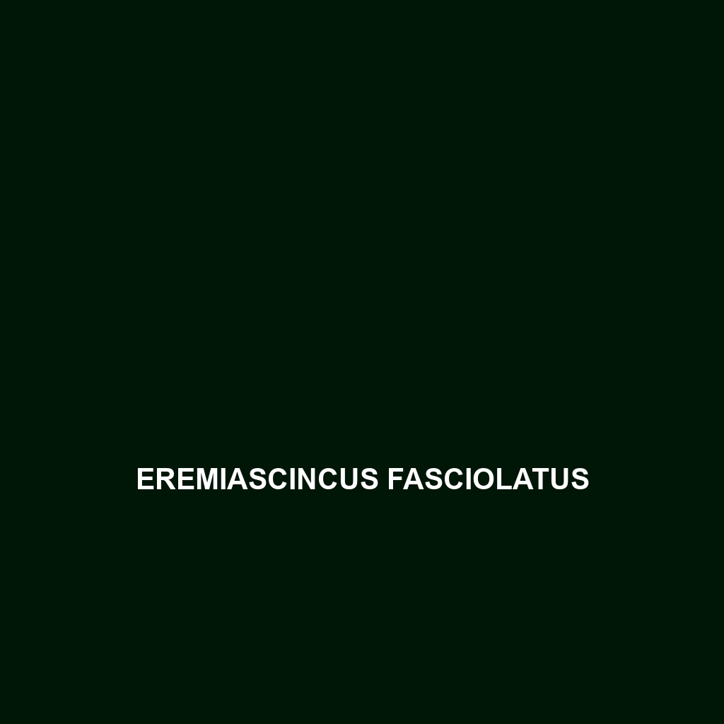 Eremiascincus fasciolatus