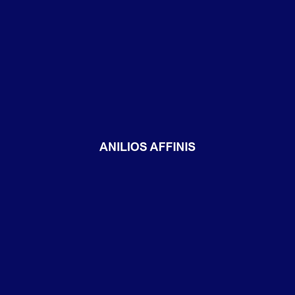 Anilios affinis