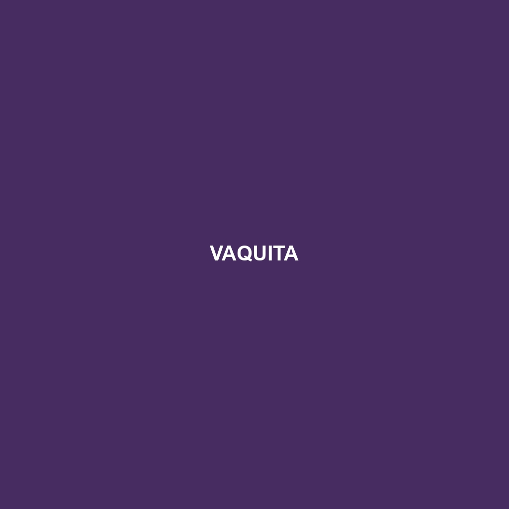 Vaquita