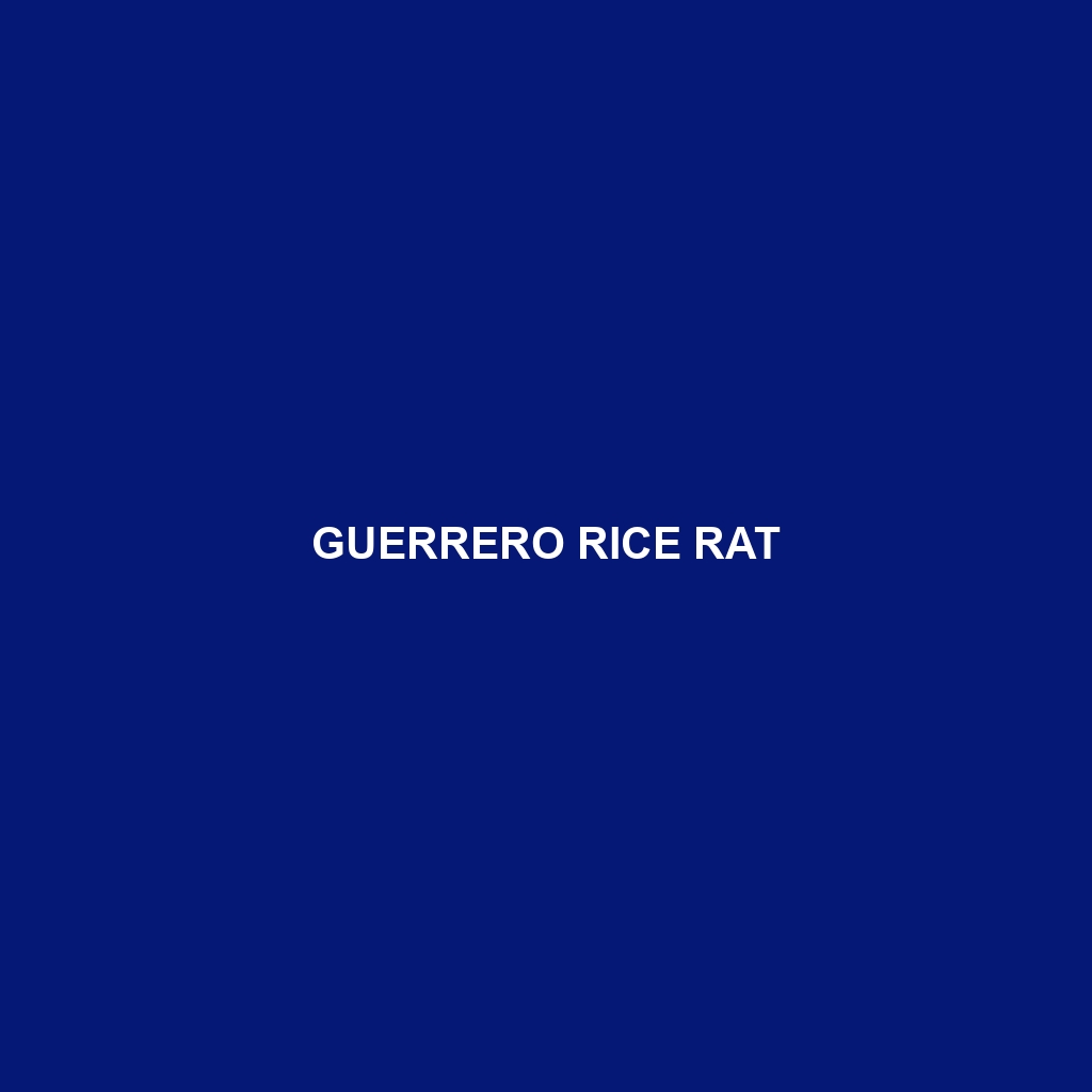 Guerrero Rice Rat