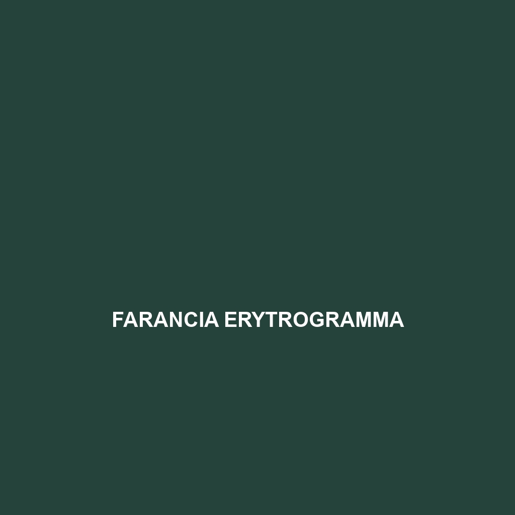 Farancia erytrogramma