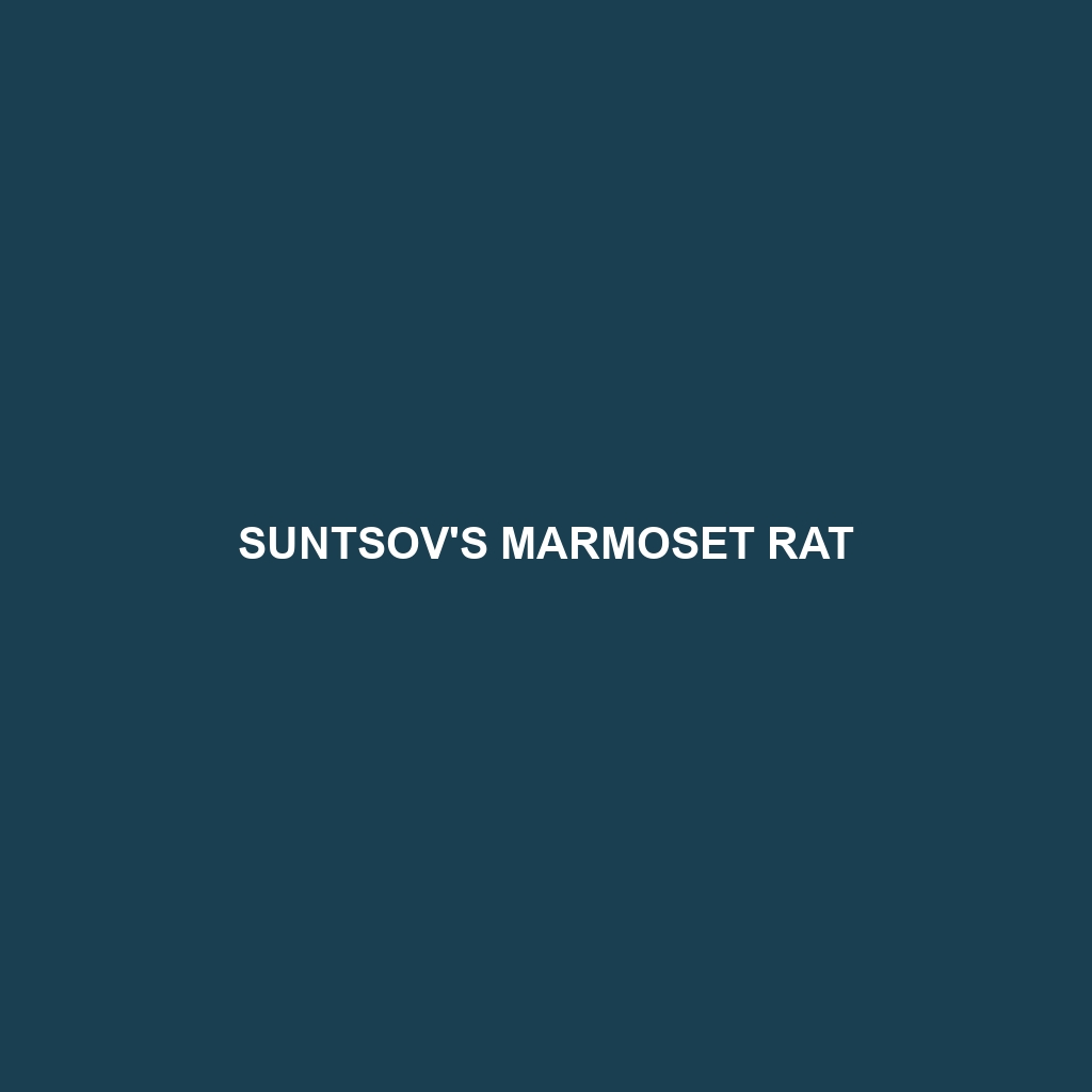 Suntsov's Marmoset Rat