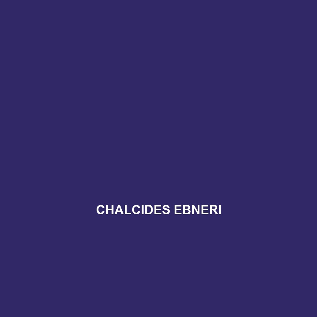 Chalcides delislei