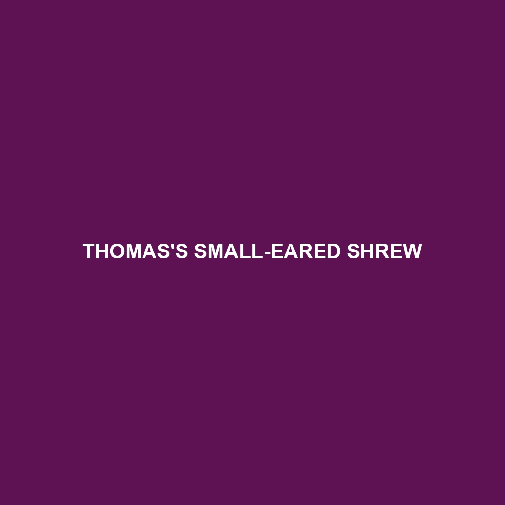 Thomas's Small-eared Shrew