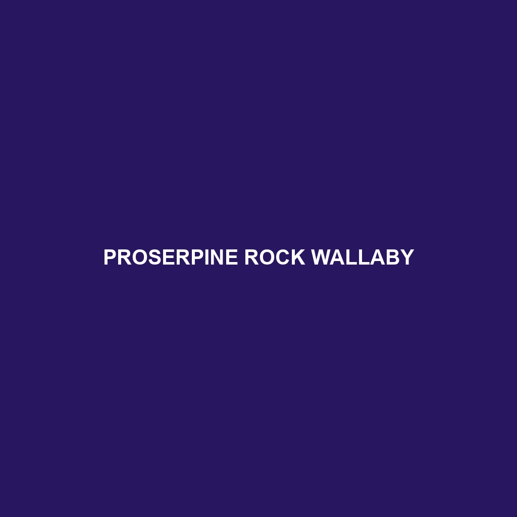 Proserpine Rock Wallaby