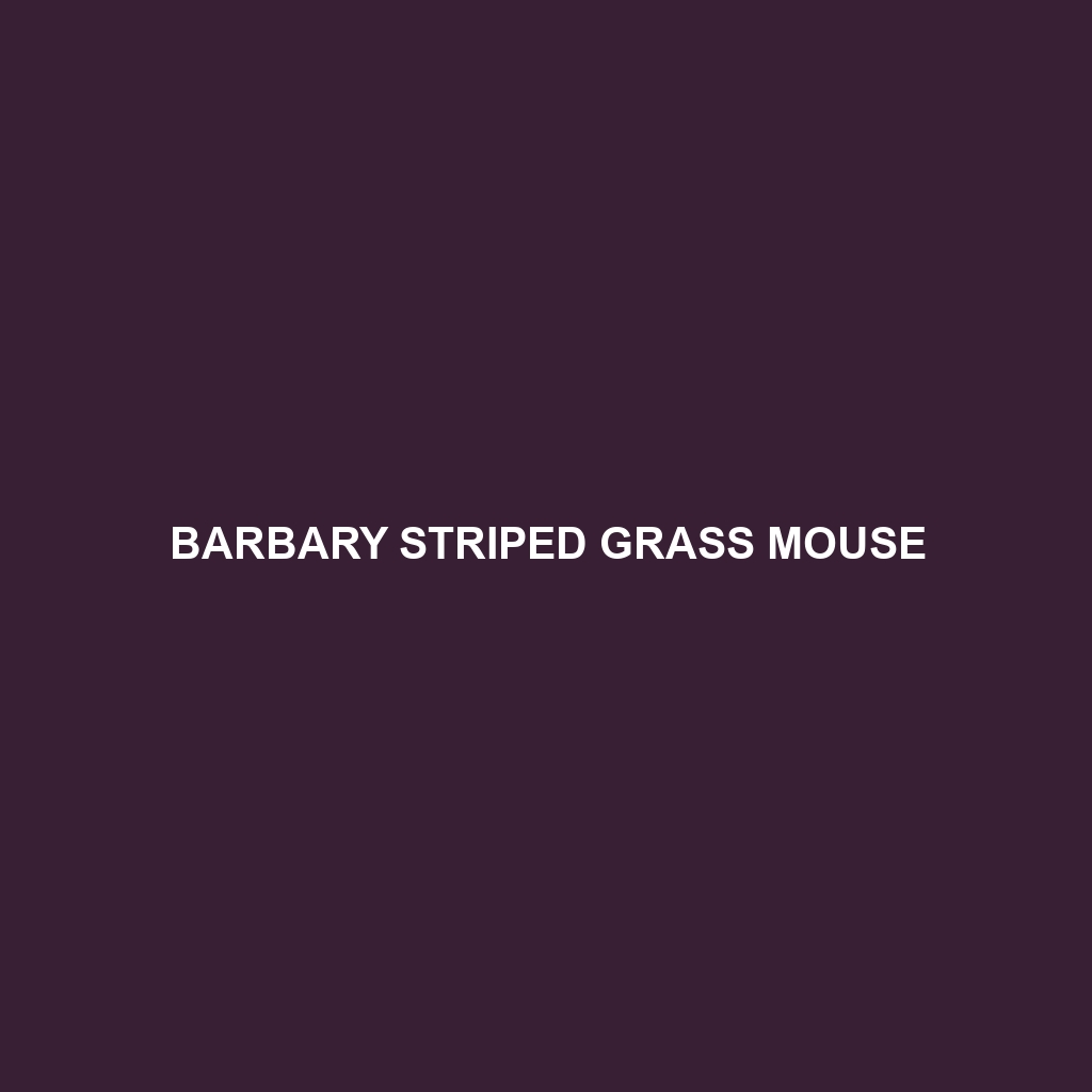 Barbary Striped Grass Mouse