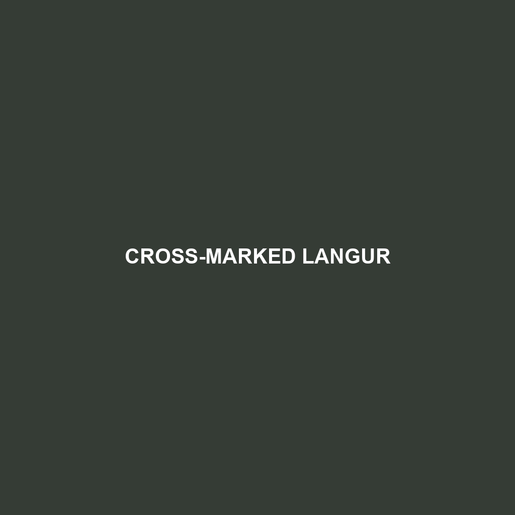 Cross-marked Langur