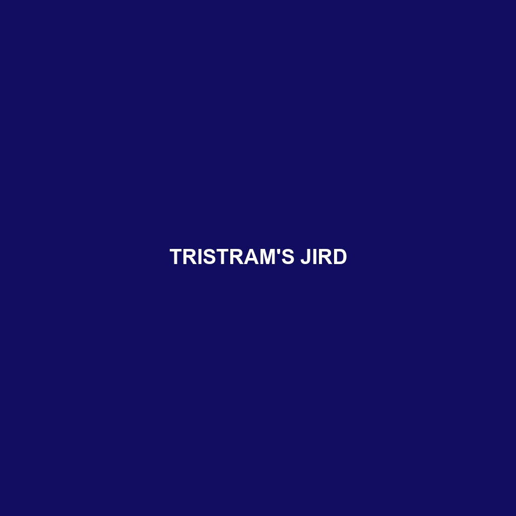 Tristram's Jird