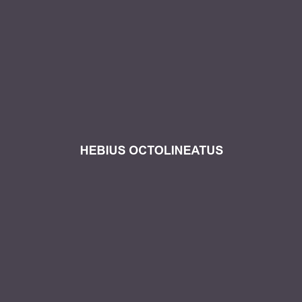 Hebius octolineatus