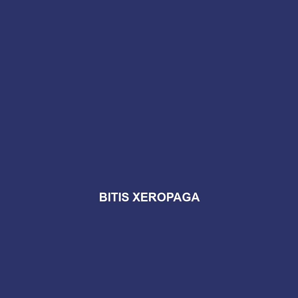 Bitis xeropaga