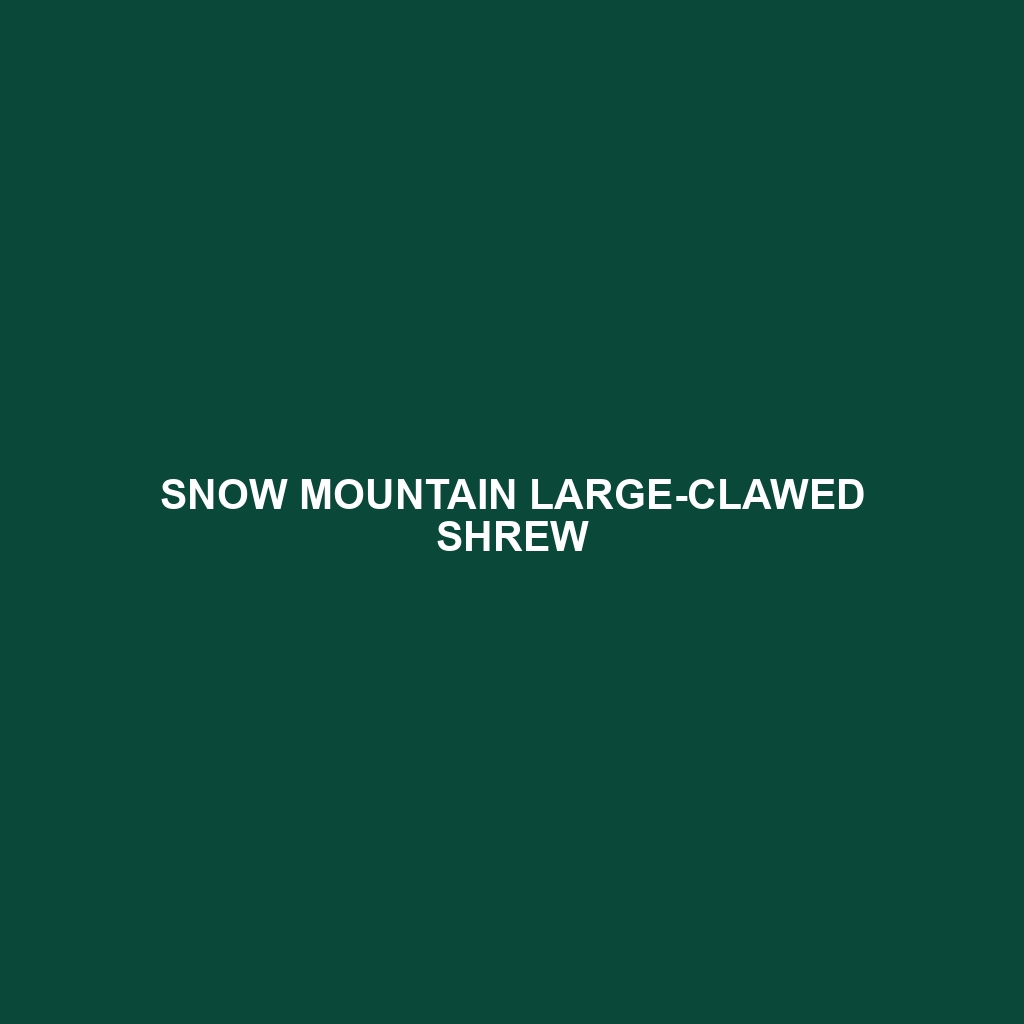 Snow Mountain Large-clawed Shrew