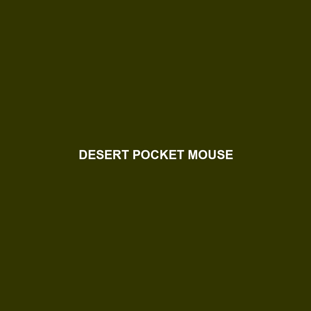 Desert Pocket Mouse