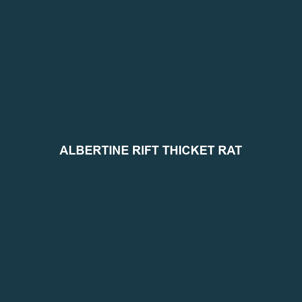 Albertine Rift Thicket Rat