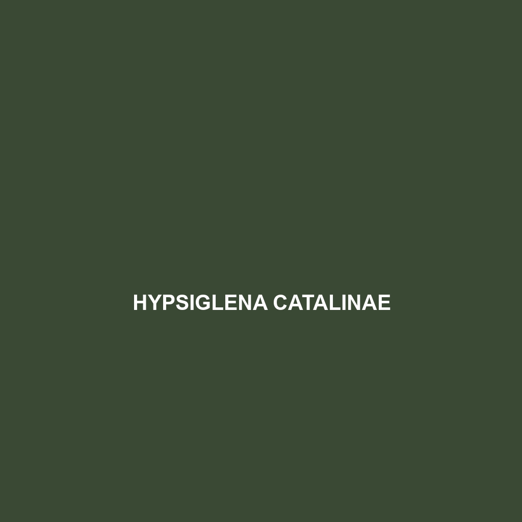 Hypsiglena catalinae