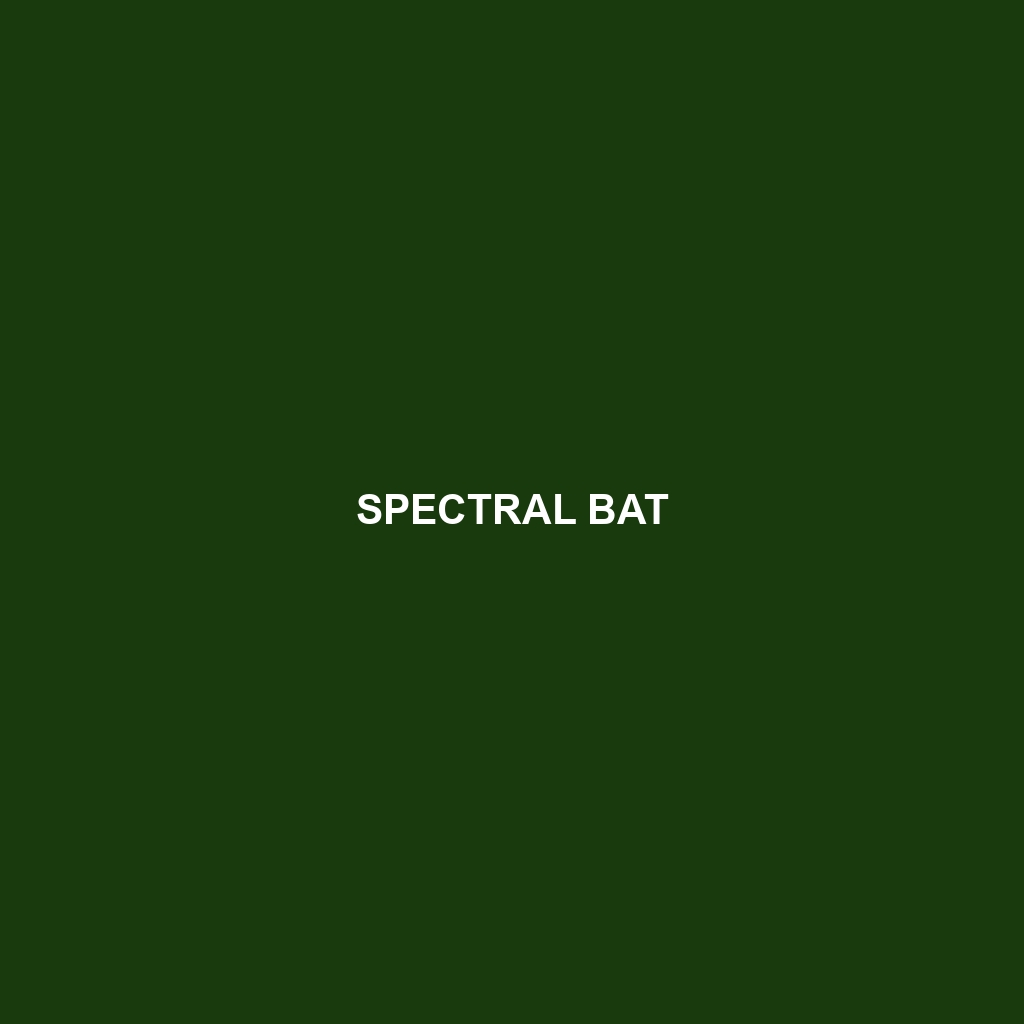 Spectral Bat